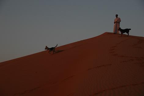 e0066474_3384127.jpg