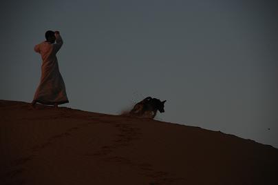 e0066474_3395196.jpg