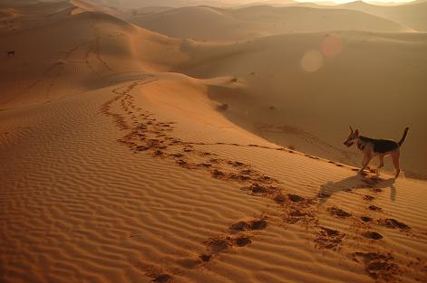 e0066474_3442285.jpg