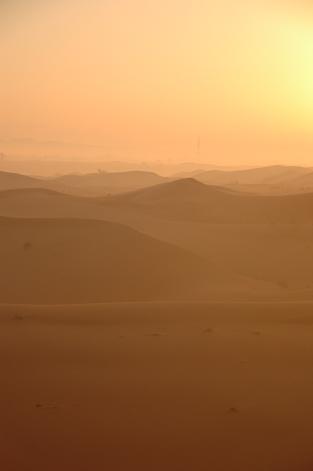 e0066474_453482.jpg