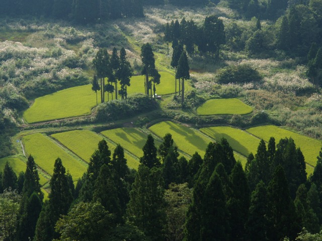 a0025576_22485432.jpg