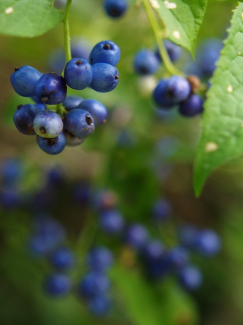a0025576_22494781.jpg