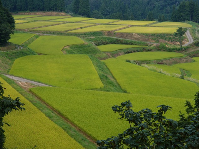 a0025576_22501213.jpg