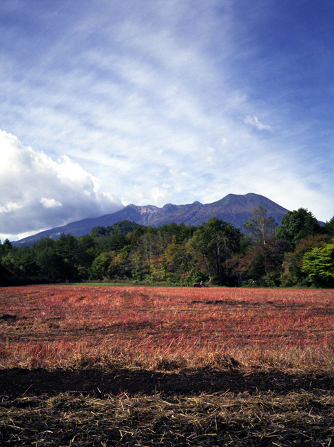 c0054876_1921462.jpg