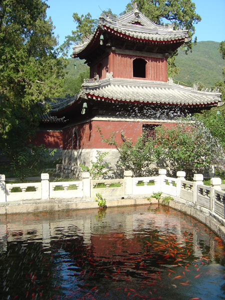 f0072976_23414463.jpg