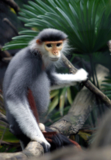 c0111783_271726.gif