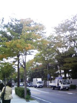 d0039992_1742487.jpg