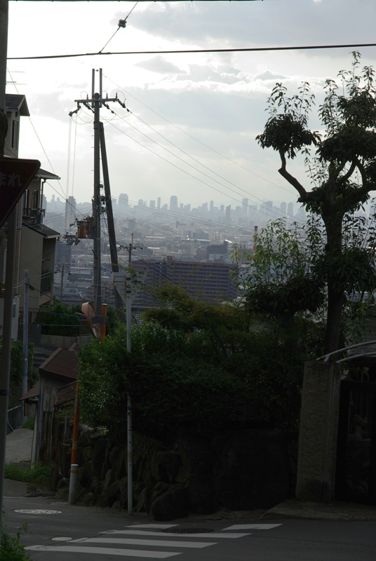 d0085501_13273557.jpg