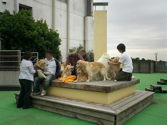 ごるのお母さんとキョウダイに会ってきた！<2日目>_f0025103_1627391.jpg