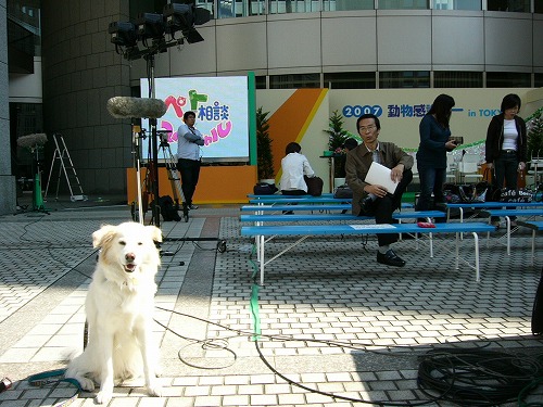 a0032004_0372528.jpg