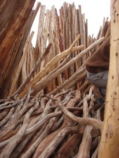 d0126508_649198.jpg