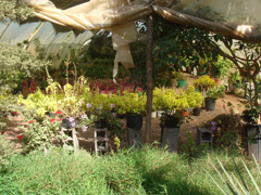 d0126508_720794.jpg