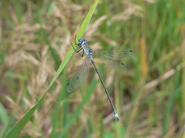 e0002314_15265945.jpg