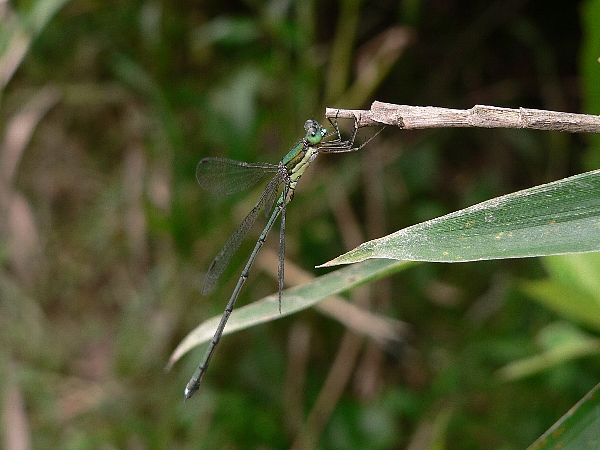 e0002314_15273265.jpg