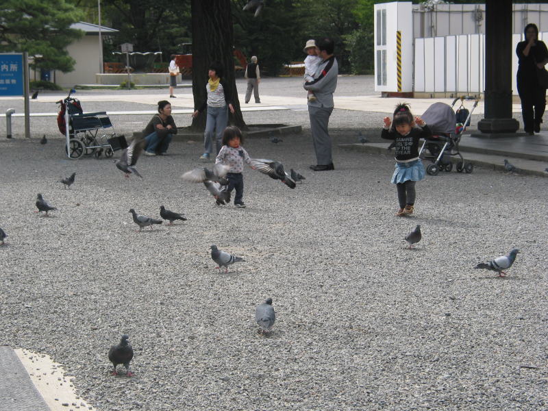 東本願寺へｗ_b0044516_13134626.jpg