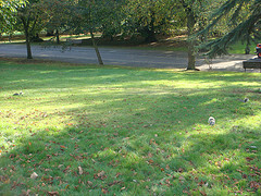 b0077516_4384027.jpg