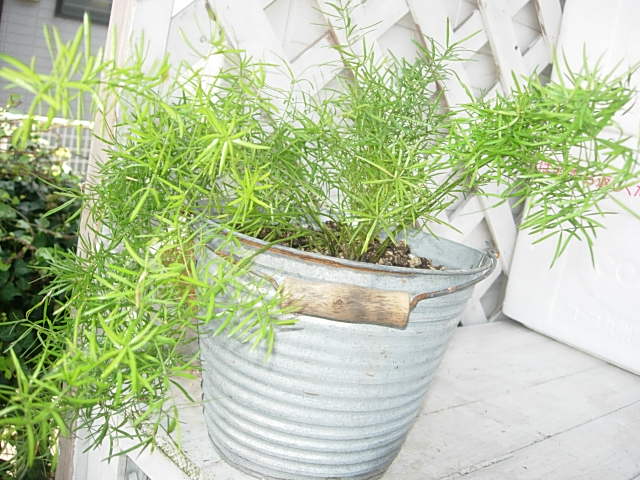 c0085916_481568.jpg