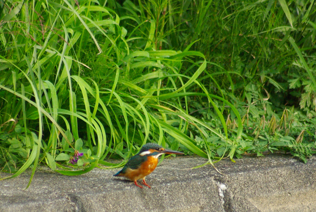 d0072720_20575986.jpg