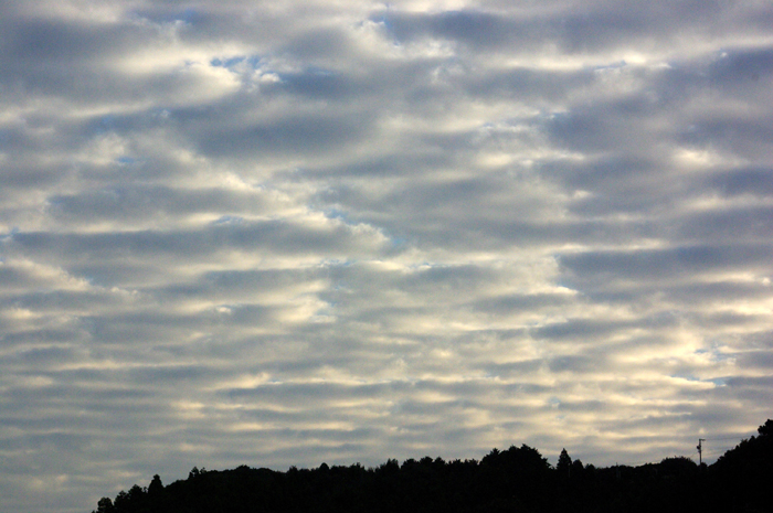 d0072720_234858.jpg