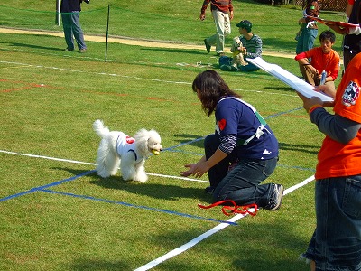 d0023323_233157100.jpg
