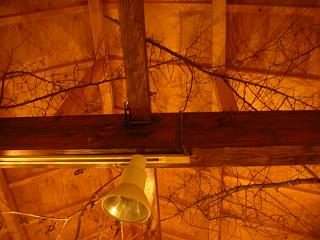 c0102228_20133327.jpg