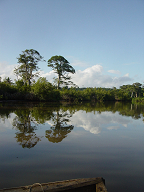 d0106737_6355687.jpg