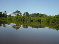 d0106737_6373274.jpg