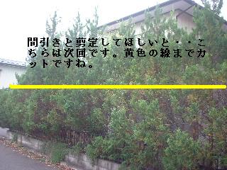 f0031037_16451615.jpg