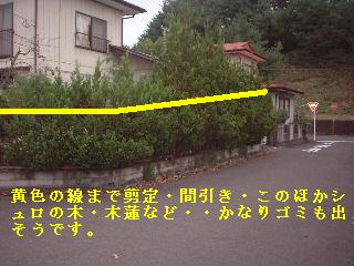 f0031037_16453467.jpg