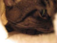 e0113040_21322932.jpg