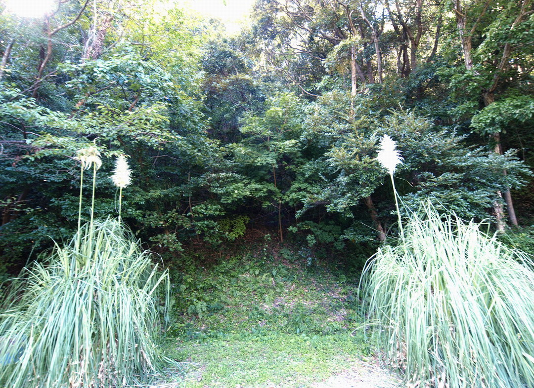 f0079943_16101914.jpg