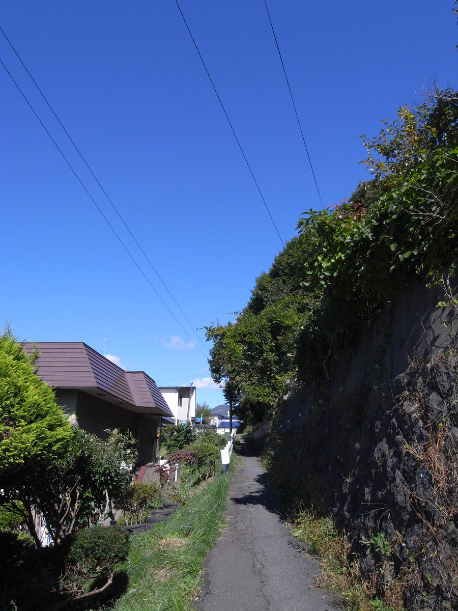 f0114954_154010.jpg