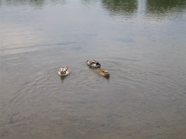 a0027555_844347.jpg