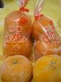 冷凍食品の日_f0053757_11154611.jpg