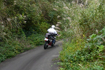 a0083760_1650638.jpg