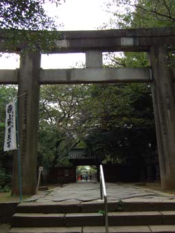 d0080566_10323698.jpg