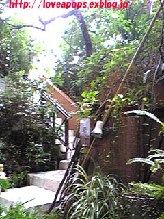f0121493_2381567.jpg