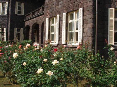 旧古河庭園と秋薔薇_c0077407_11295095.jpg