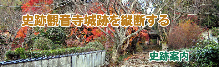 e0093407_20465310.gif
