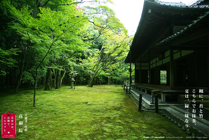 京都シルヴプレ　99　　　　　高桐院　6　南庭　東端_f0038408_7182465.jpg