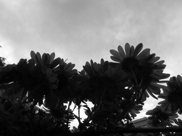 c0071611_0195949.jpg