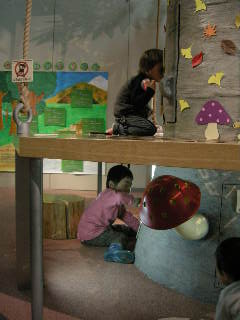 c0126614_844223.jpg