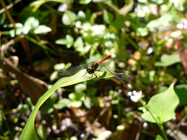 e0002314_17503361.jpg