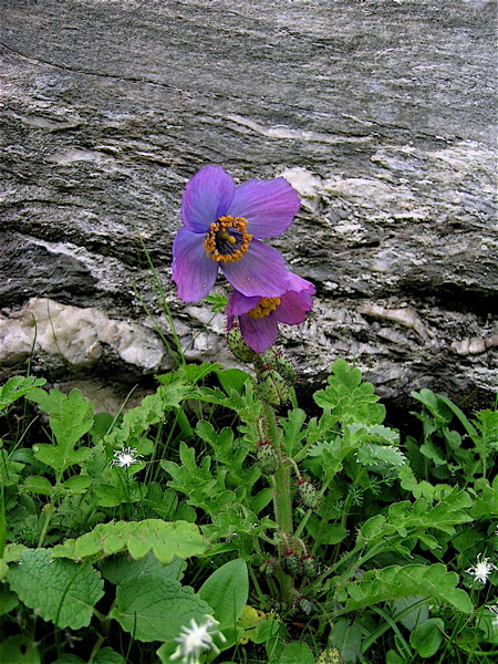 f0115214_12491161.jpg