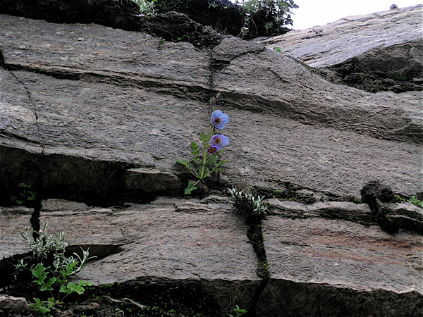 f0115214_12512967.jpg