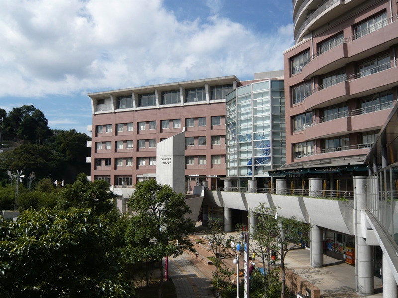 d0065116_2201030.jpg