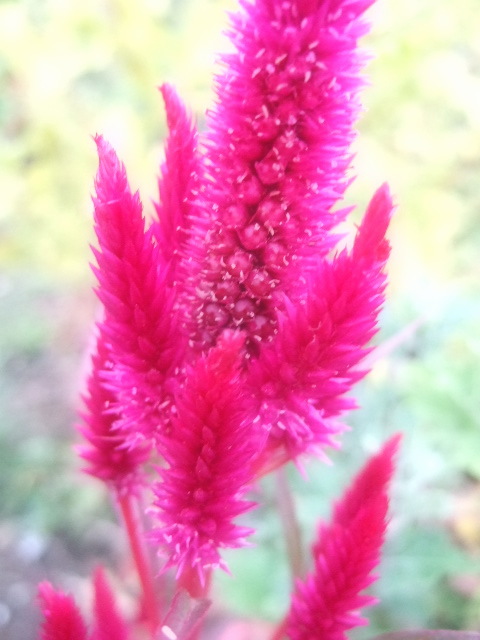 f0143119_18514988.jpg
