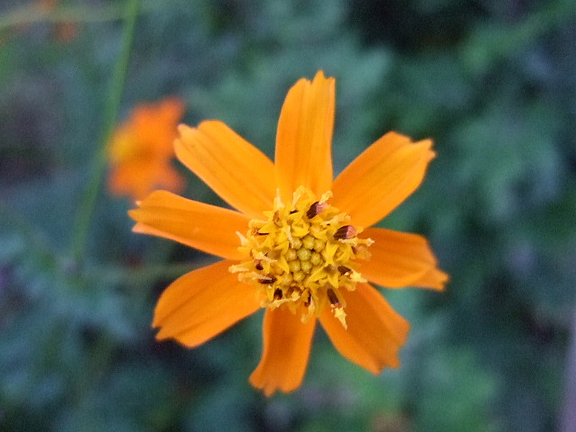 f0143119_18532328.jpg