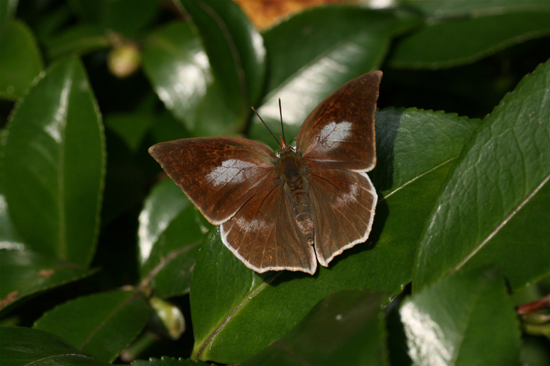 d0054625_2039276.jpg