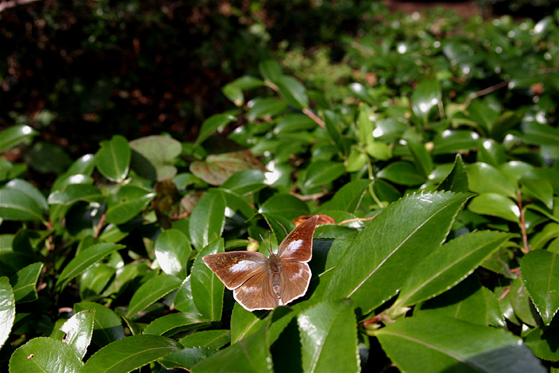 d0054625_20402378.jpg